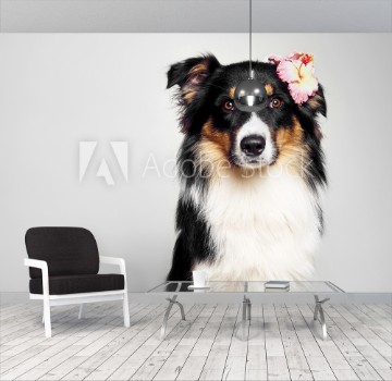 Image de Lustiger Hund mit Blume